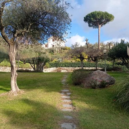 Апартаменты Casa Degli Ulivi Леричи Экстерьер фото